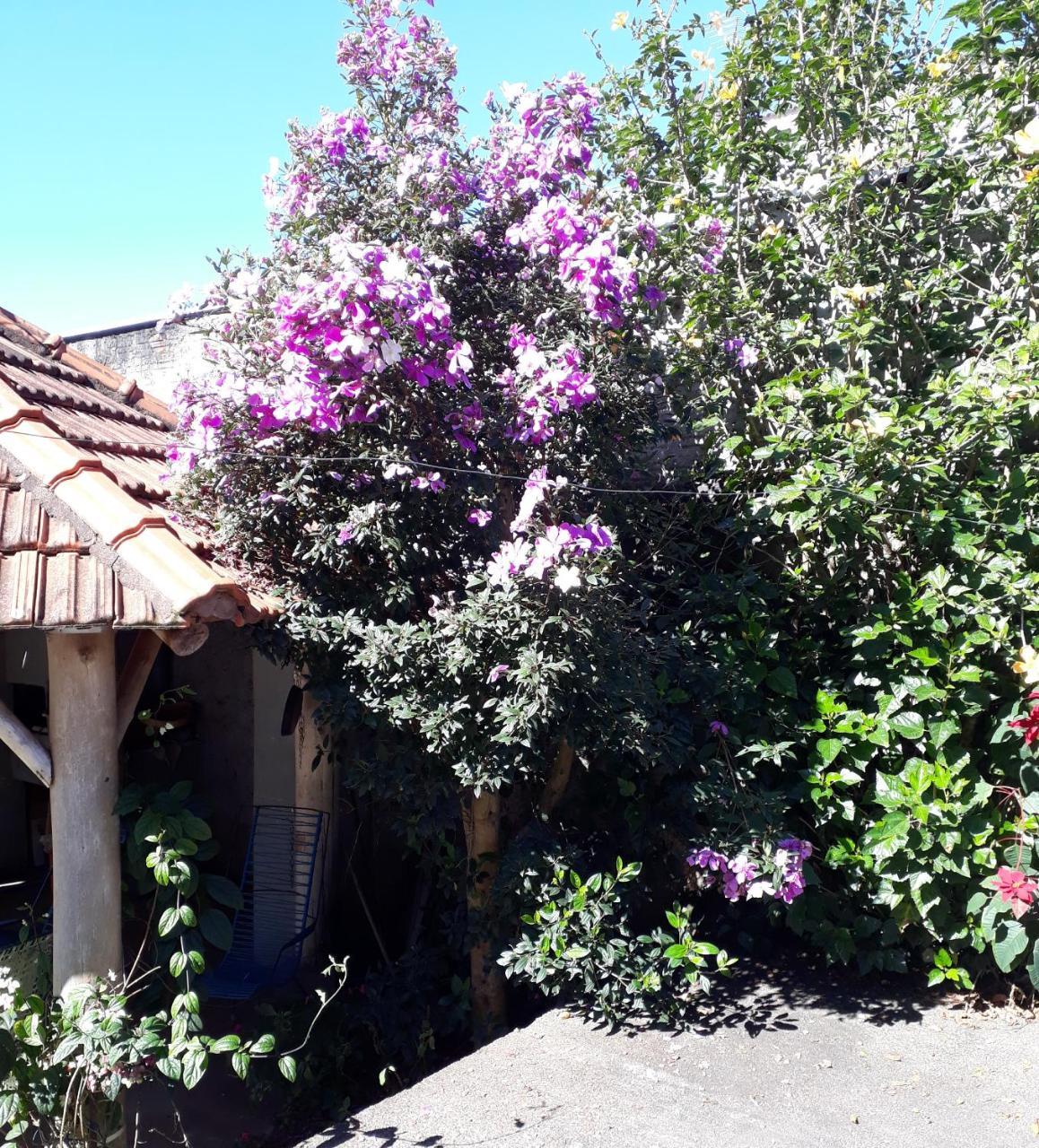Itapiranga Hotel Maua מראה חיצוני תמונה